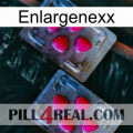 Enlargenexx 14